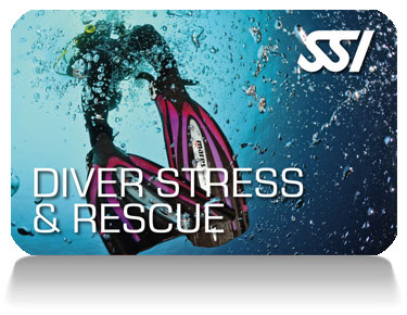 Read more about the article SSI Stress and Rescue