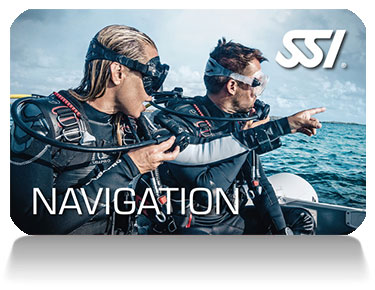 Read more about the article SSI Navigation