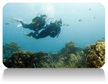 Read more about the article PADI Enriched Air Diver