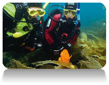 Read more about the article PADI Dry Suit Diver