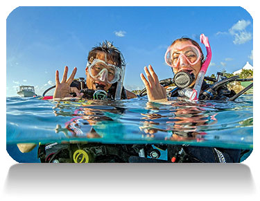Read more about the article PADI Open Water Diver