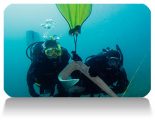 PADI_Search_and_Recovery