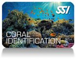 SSI_Coral_Identification