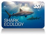 SSI_Shark_Ecology